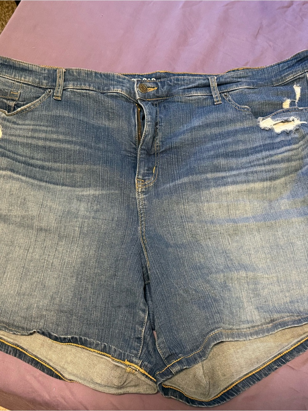 torrid Light Wash Distressed Denim Shorts